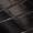 black croc